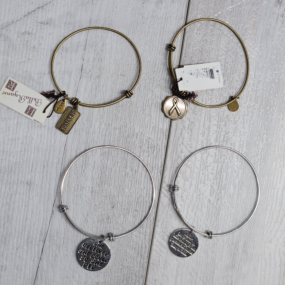 Beast Cancer Survivor Charm Bracelet Bangle Inspirational Quotes Lots of 4